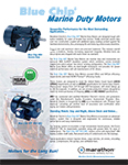 Marathon Electric Brochure